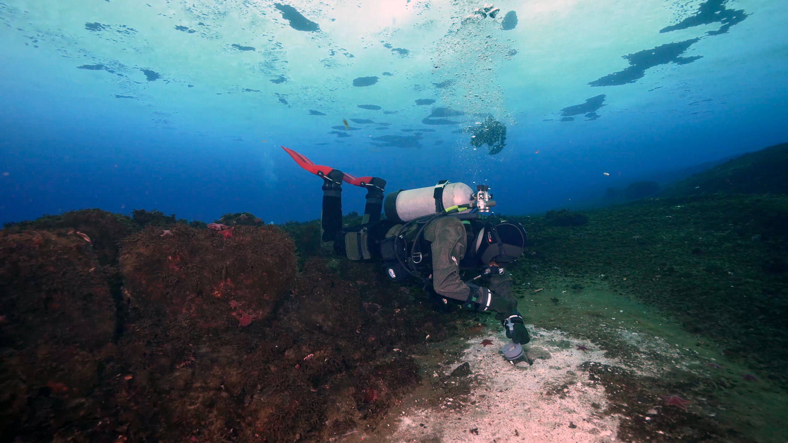 An underwater photograph of a diver collecting samples at a methane seep in Cape Evans, Antarctica. 