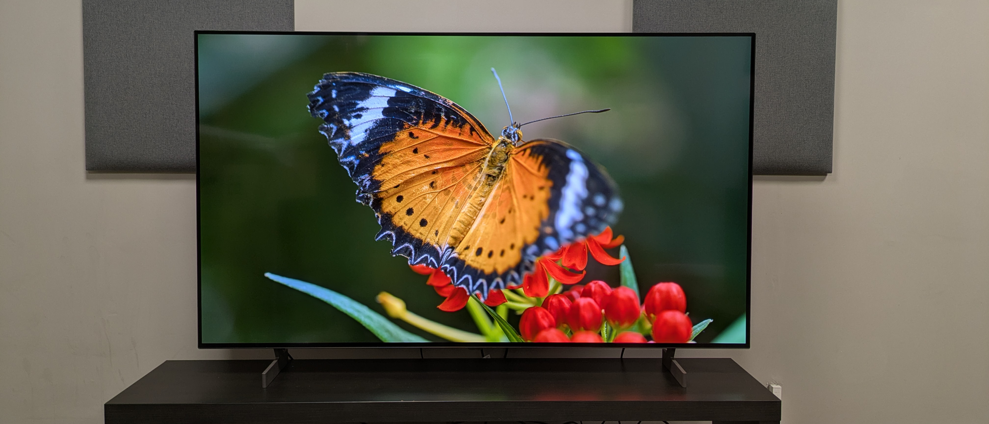 LG B6 hero image showing orange butterfly on screen 