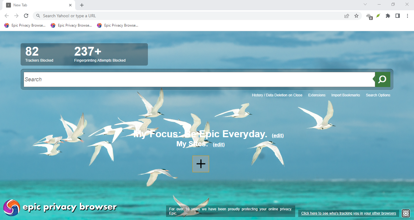 Epic Browser review