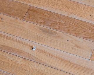 woodworm holes in flooring