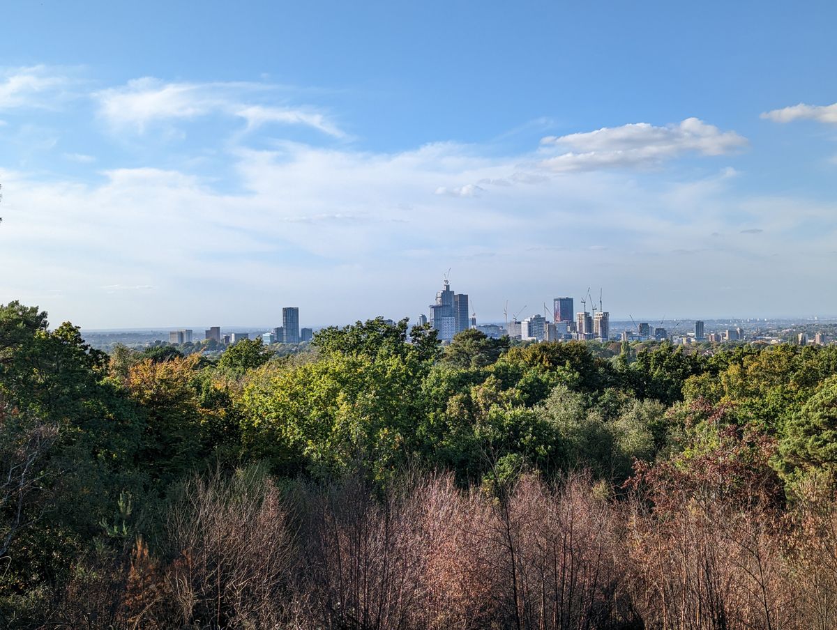 Google Pixel 7