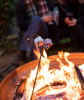 toasting marshmallows over fire pit