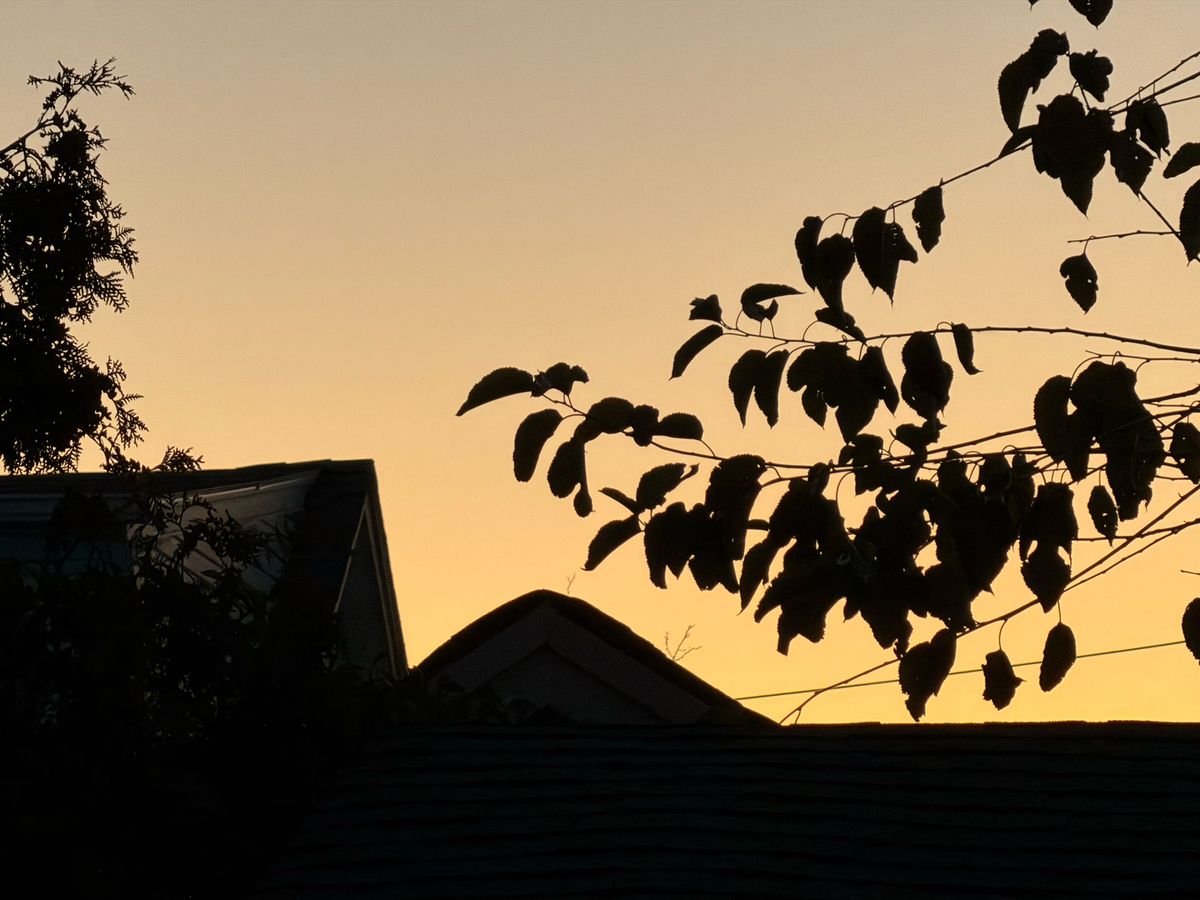 Apple iPhone 17 Pro voorbeeldfoto