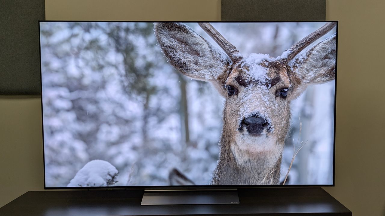 The LG C6 OLED TV with a shot of a snow-covered deer on screen. It demonstrates the C6's bright whites and exceptionally crisp textures.