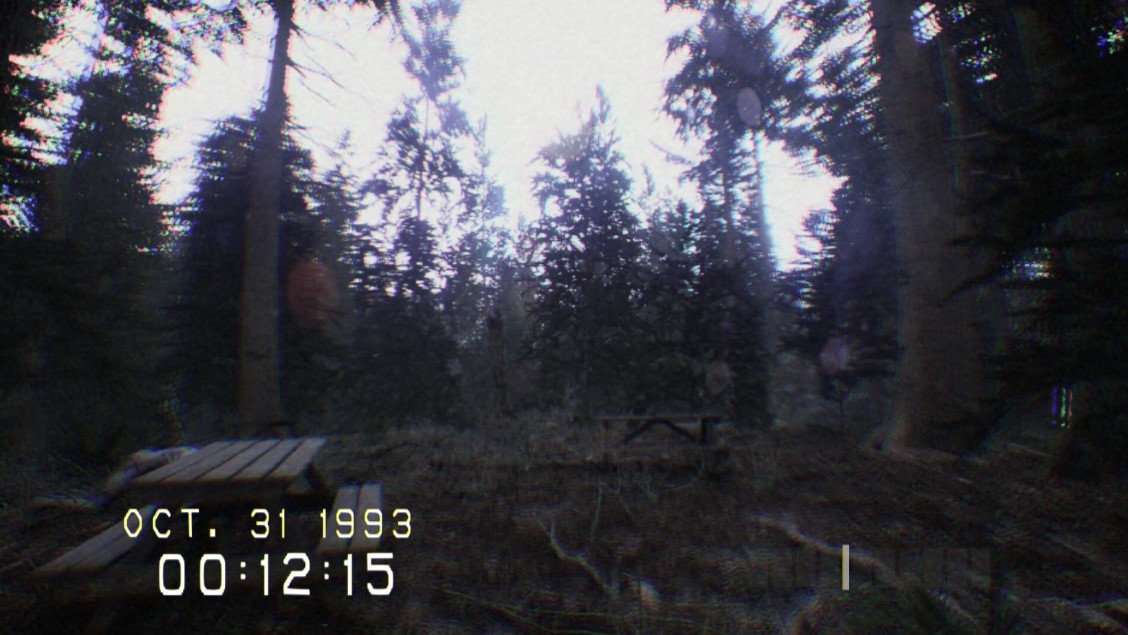 Captura de pantalla del juego Don't Scream, que muestra el bosque de Pineview durante el d&iacute;a.