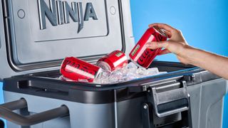 The Ninja FrostVault 45QT Wheeled Cooler photographed in front of a blue background. 