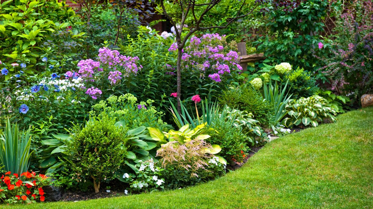 Colorful garden in backyard with grass