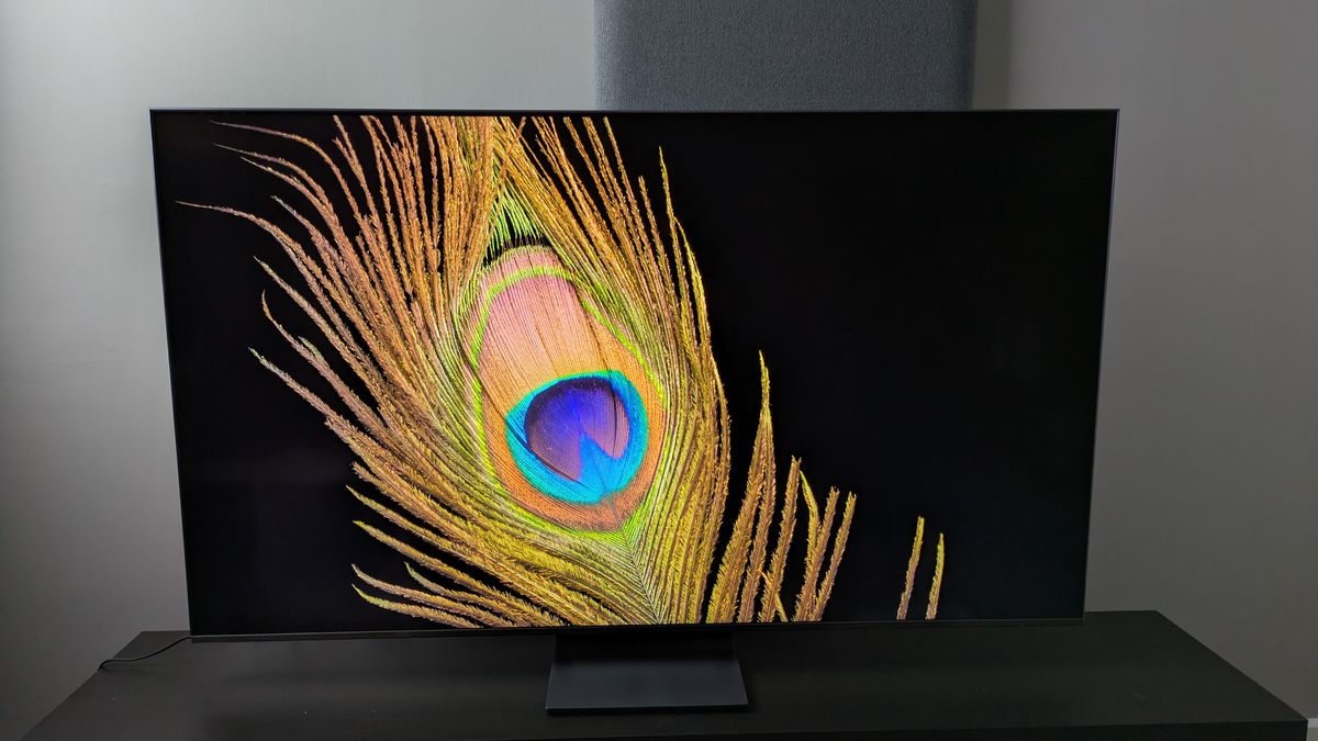 Samsung QN80F with peacock feather on black background on screen