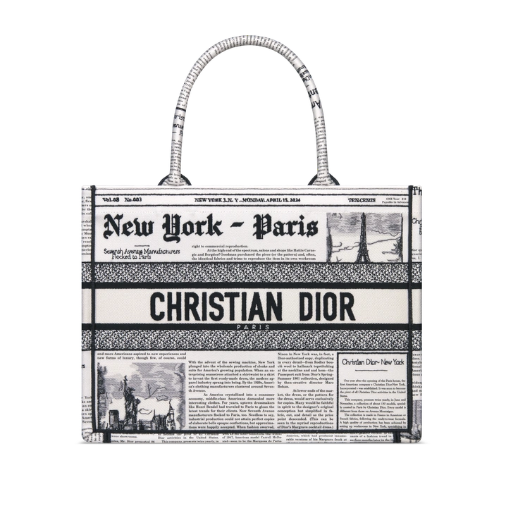 dior medium book tote