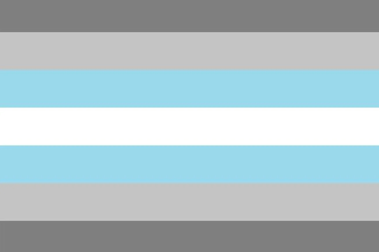 demiboy pride flag