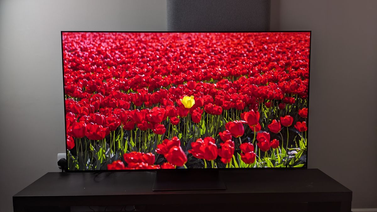 Samsung S95F listing image with red flowers on screen
