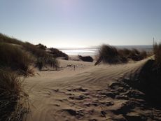 The Gallivant is right on Camber Sands.