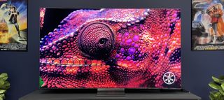 Samsung QN900D viser et bilde av en &oslash;gle.