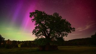 Aurores bor&eacute;ales prises avec le Nikon Z6 II