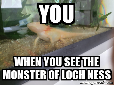 Meme Personalizado - you when you see the monster of loch ness - 33096031