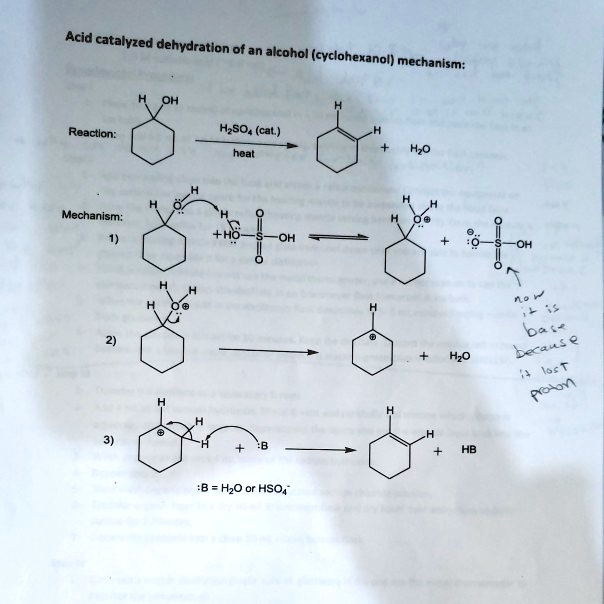 cyclohexanol dehydration