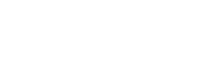 Intent Media