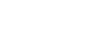 Arctic Wolf Networks