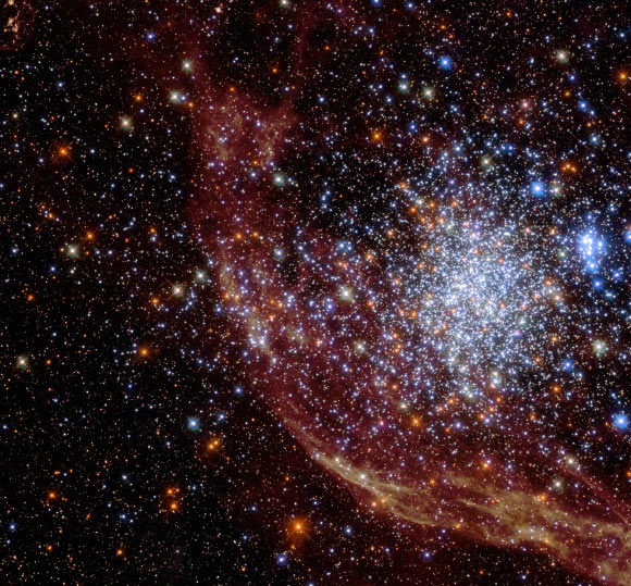 This Hubble image shows the globular cluster NGC 1850, which is located in the Large Magellanic Cloud, over 160,000 light-years from Earth. For this image, five filters were used with the camera to gather data. Two of the filters were at near-ultraviolet wavelengths, two more at visible light wavelengths, and the final one was in the near-infrared. The data gathered through the two ultraviolet filters is violet and blue. The data from the two visible light filters is green and orange. The color red denotes near-infrared data. The image follows chromatic order, which means the shortest wavelength in the image is blue while the longest wavelength is red. Chromatic order allows us to visualize wavelengths of light beyond our eye’s sensitivity in a way that is familiar to us. Image credit: NASA / ESA / N. Bastian, Donostia International Physics Center / Gladys Kober, NASA & Catholic University of America.