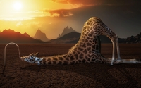 Thirsty giraffe wallpaper 3840x2160 jpg