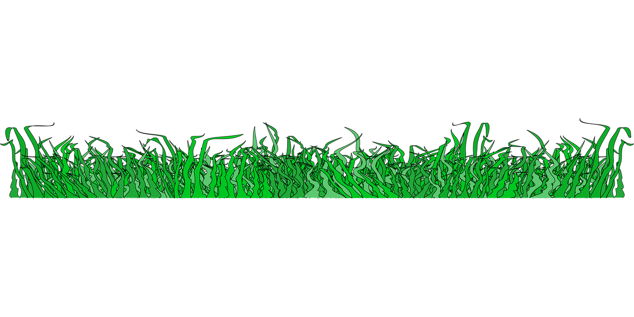 grass border png