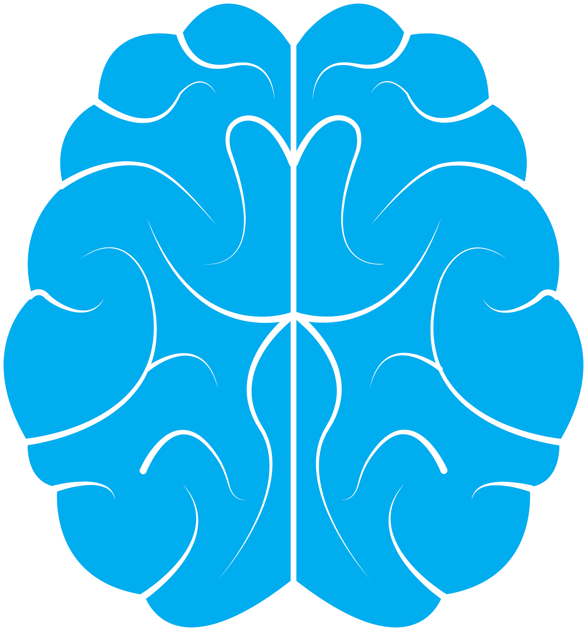 Brain Icon Png