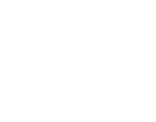 NN Investment Partners