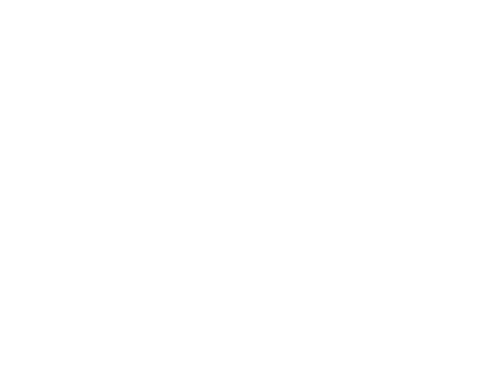 CarTrawler