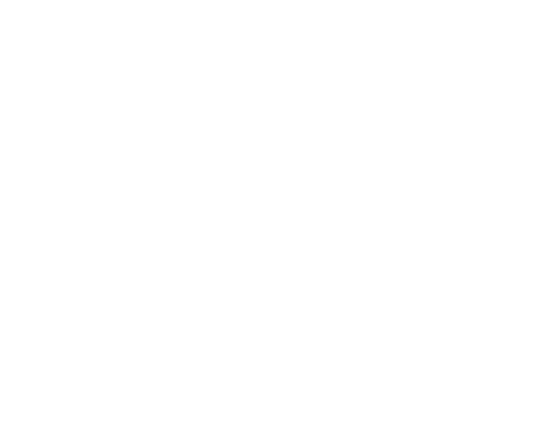 VideoAmp