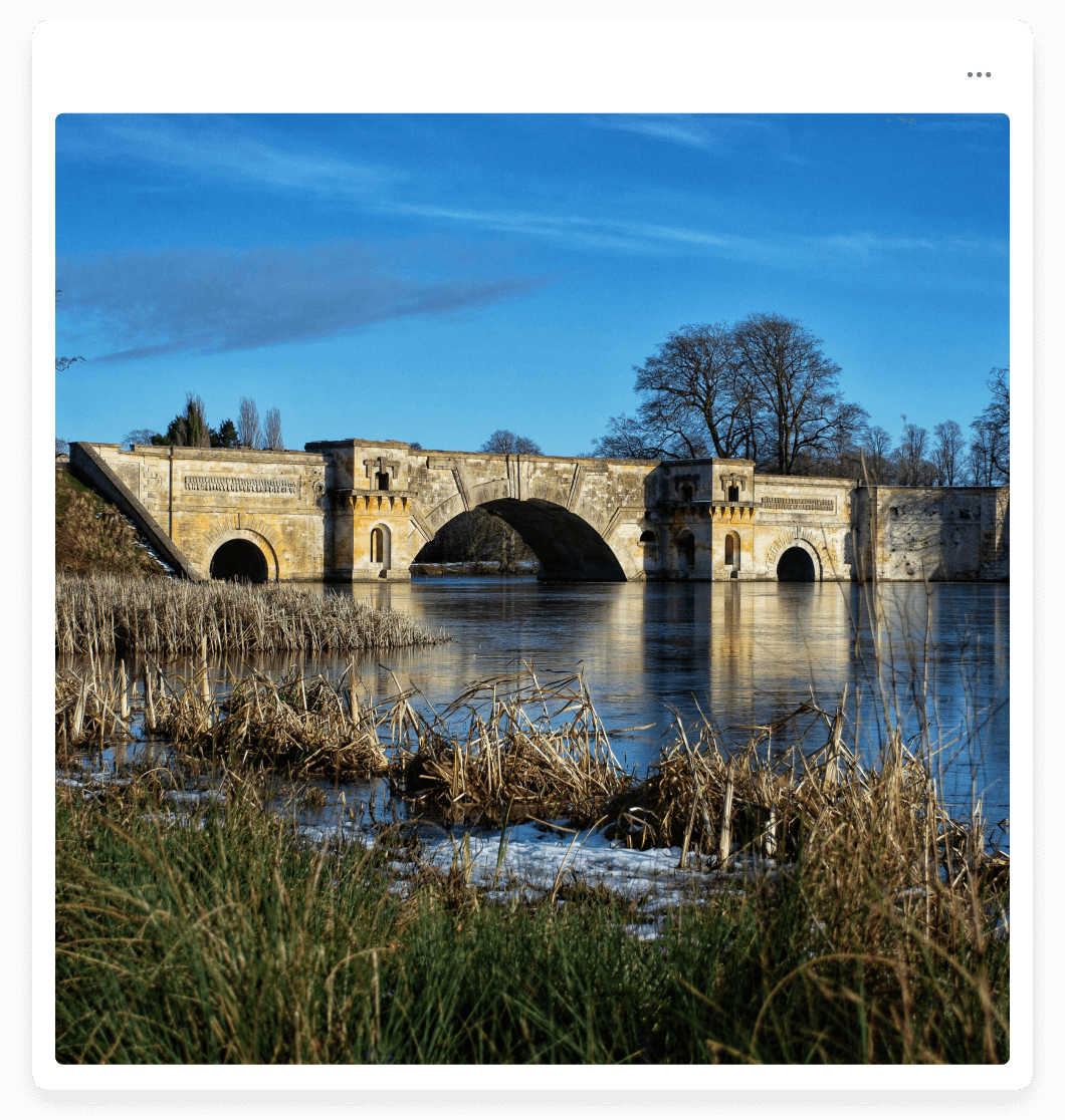 a bridge over a body of water surrounded by tall grass