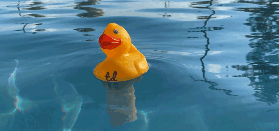 Test double rubber duckie in a pool.