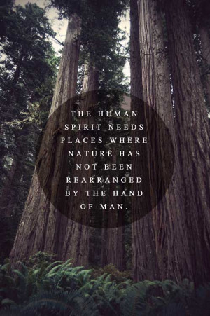 The human spirit needs places where nature has not been rearranged by ...