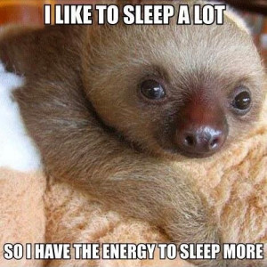 | If you love cute quotes about life, sleep, or adorable baby sloths ...