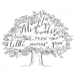 From Little Acorns Mighty Oaks Grow