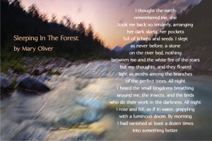 Poem on image taken from Karen Ancas website