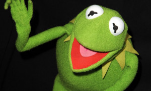 Kermit-the-Frog-011.jpg