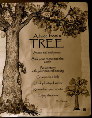 Advice From A Tree