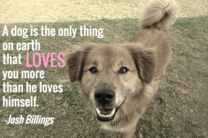 ... dog – here are 25 famous dog quotes about what makes dogs wonderful