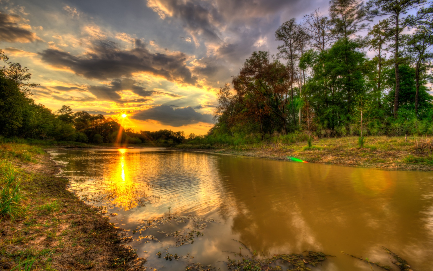 Texas Hill Country Flowers Frio River In Garner Stae Park Texas Hdr ...