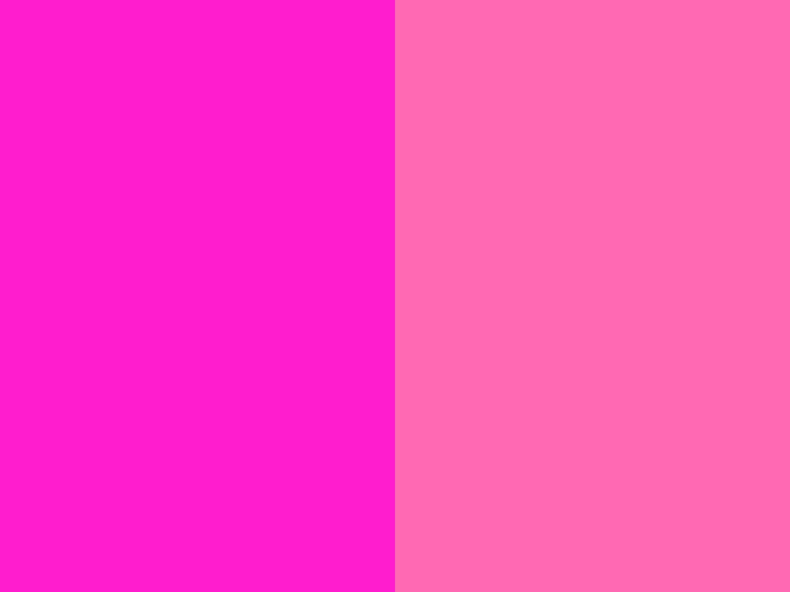 Hot pink background - bluemoli