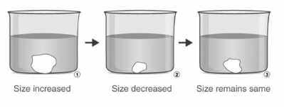 Hypotonic Solution - Definition, Examples and Differences from ...