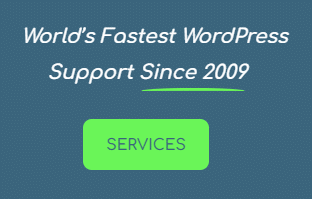 WordPress Support Services