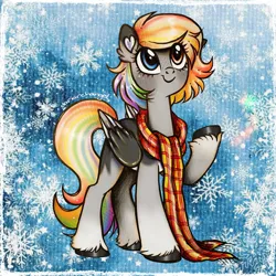 Size: 1500x1500 | Tagged: safe, artist:dariarchangel, derpibooru import, oc, oc:buvany, unofficial characters only, pegasus, pony, g4, adorable face, black hooves, c:, clothes, coat markings, colored ears, colored wings, cute, cute face, cute smile, ear fluff, female, female oc, folded wings, freckles, gradient legs, gray coat, heart ears, heterochromia, image, leg fluff, long scarf, long tail, looking up, mare oc, multicolored hair, multicolored mane, multicolored tail, multicolored wings, ocbetes, passepartout, pegasus oc, png, pony oc, raised hoof, scarf, short hair, short mane, smiling, snow, snowflake, solo, standing, standing on three hooves, tail, traditional art, unshorn fetlocks, wings