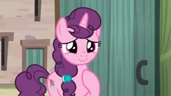 Size: 2560x1440 | Tagged: safe, derpibooru import, screencap, sugar belle, pony, unicorn, hard to say anything, season 7, 1080p, bag, cute, female, image, jpeg, mare, saddle bag, smiling, solo, sugarbetes