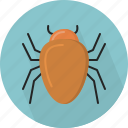 animal, bug