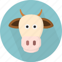 animal, cow