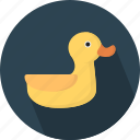 animal, duck