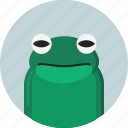 animal, frog