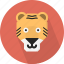 animal, jungle, tiger, zoo