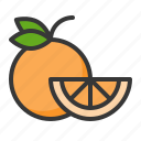 fruits, orange, slice, food, fruit, healthy, orange slice